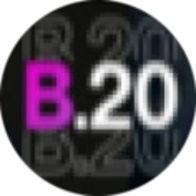 B20