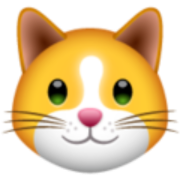 KIF