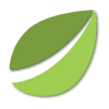Bitfinex